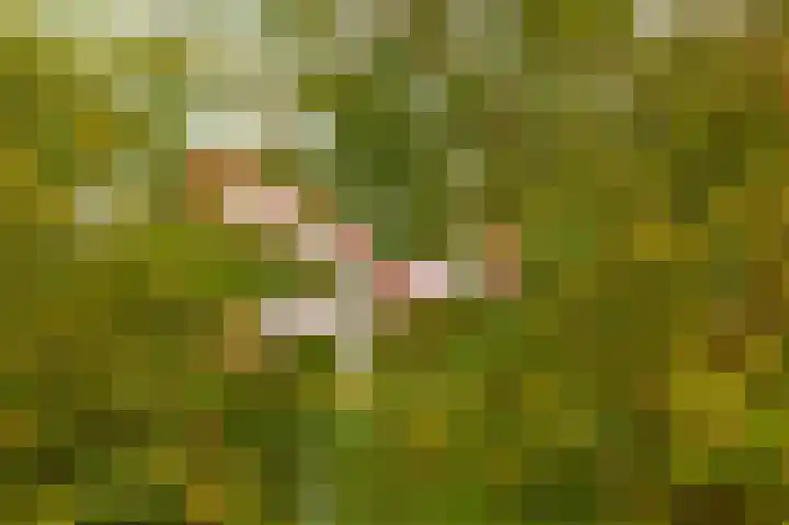 Stadsweg 19 a Groningen thumbnail 41
