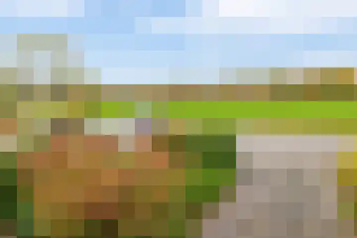 Stadsweg 19 a Groningen thumbnail 5