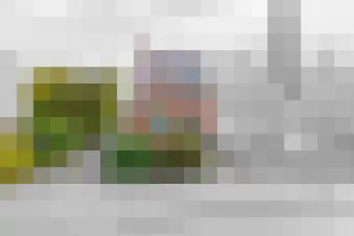 Stadsweg 19 a Groningen thumbnail 6
