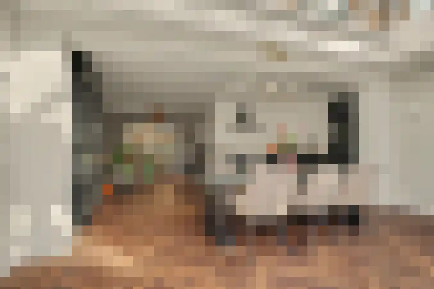 Stadsweg 28 Geertruidenberg thumbnail 14