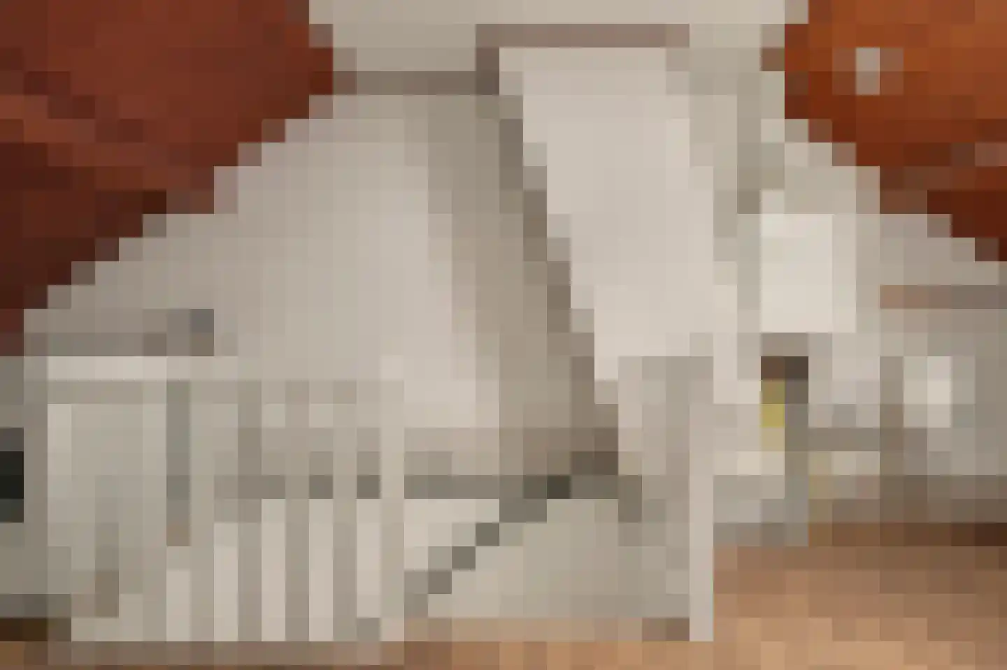 Stadsweg 28 Geertruidenberg thumbnail 26