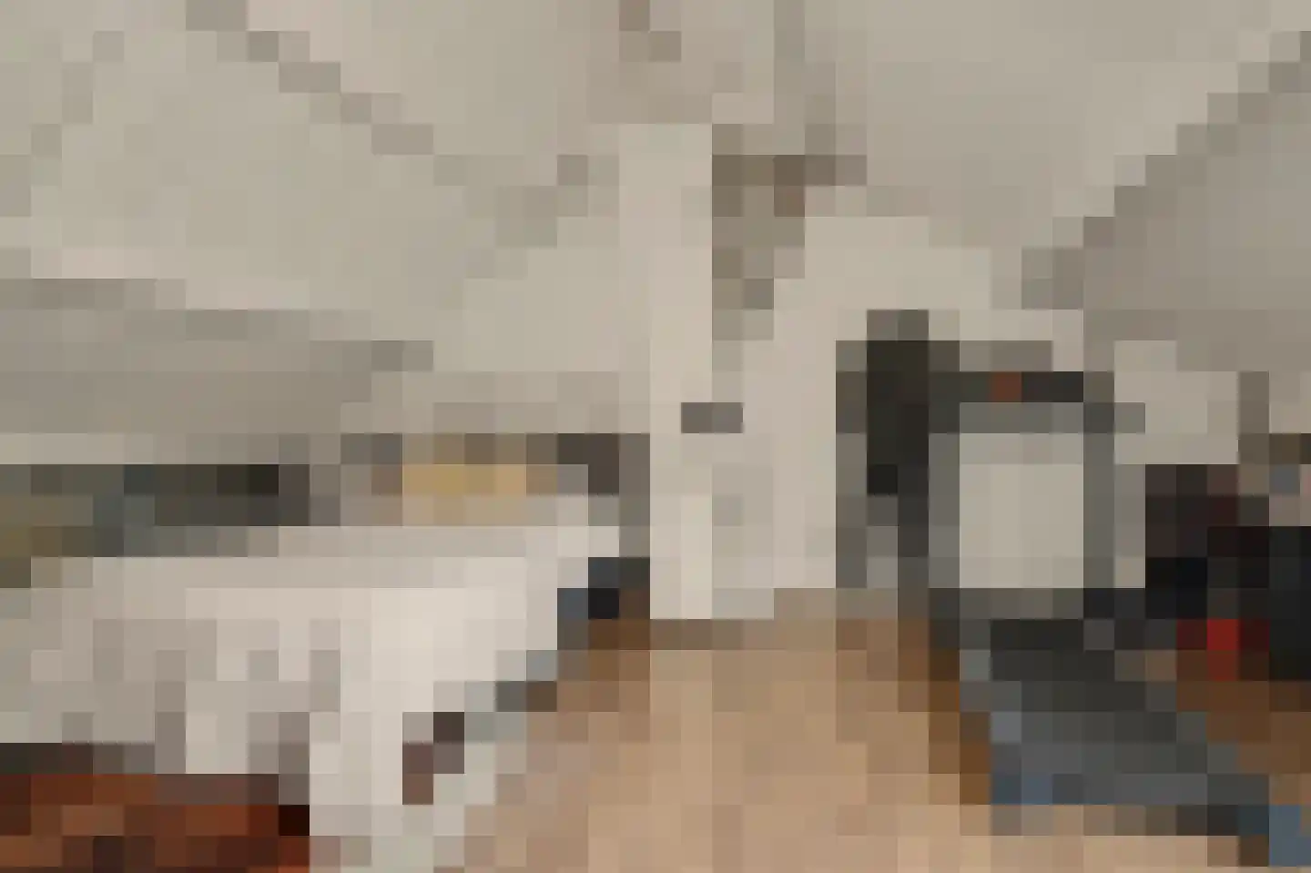 Stadsweg 28 Geertruidenberg thumbnail 29