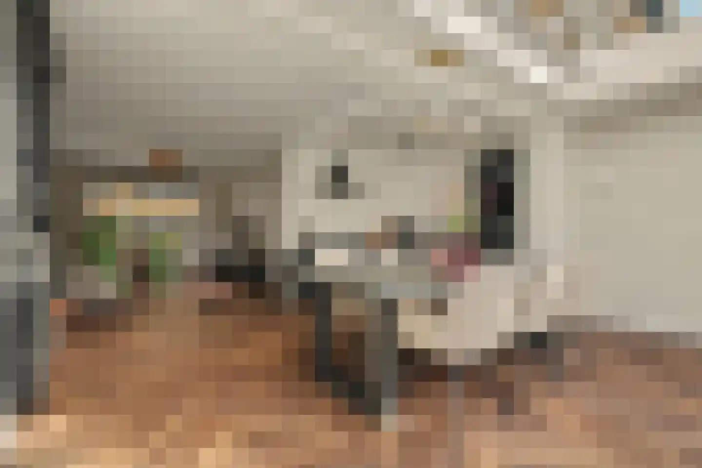 Stadsweg 28 Geertruidenberg thumbnail 5