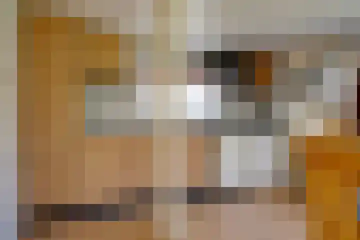 Stadsweg 29 Wirdum thumbnail 14