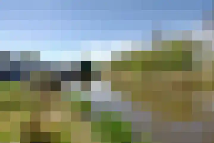 Stadsweg 29 Wirdum thumbnail 24