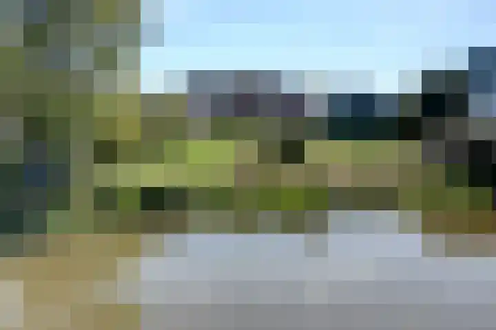 Stadsweg 29 Wirdum foto 3