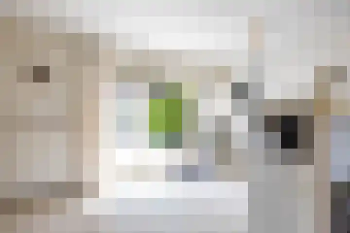Stadsweg 36 Ten Boer thumbnail 17