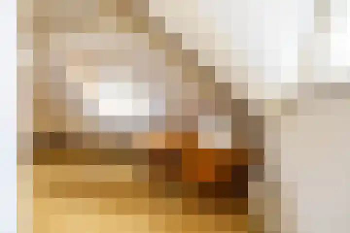 Stadsweg 36 Ten Boer thumbnail 34