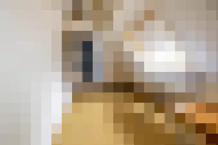 Stadsweg 36 Ten Boer thumbnail 35