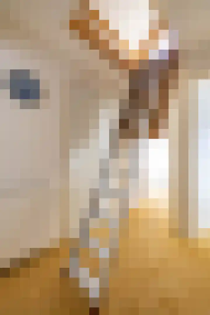 Stadsweg 36 Ten Boer thumbnail 39