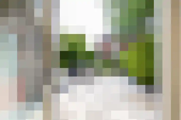Stadsweg 36 Ten Boer thumbnail 42