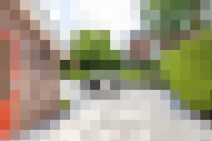 Stadsweg 36 Ten Boer thumbnail 43