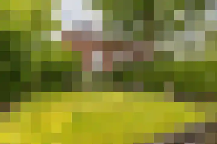 Stadsweg 36 Ten Boer thumbnail 45