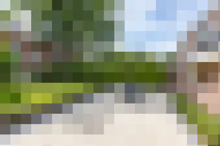 Stadsweg 36 Ten Boer thumbnail 47