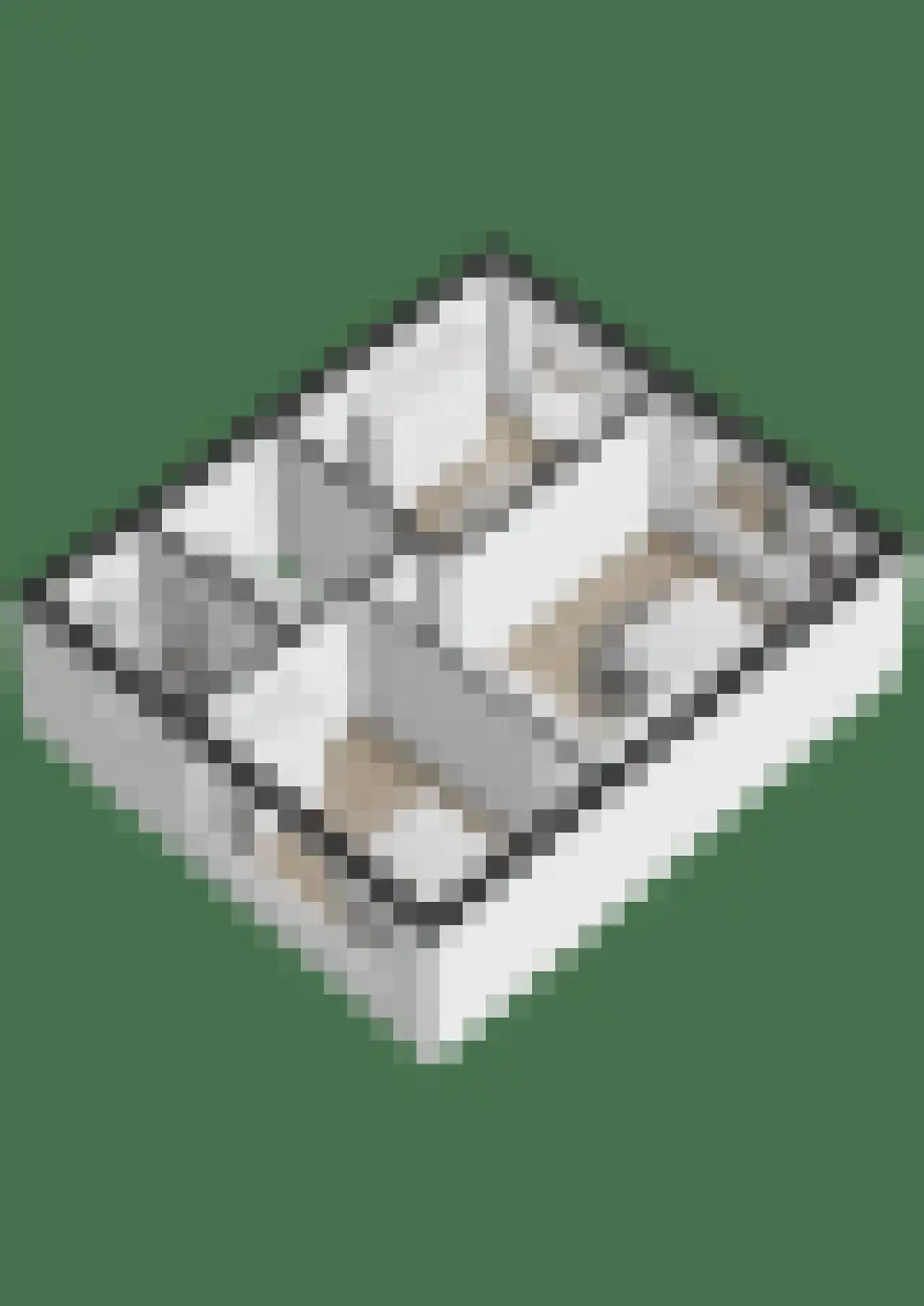 Stadsweg 41 Geertruidenberg thumbnail 51