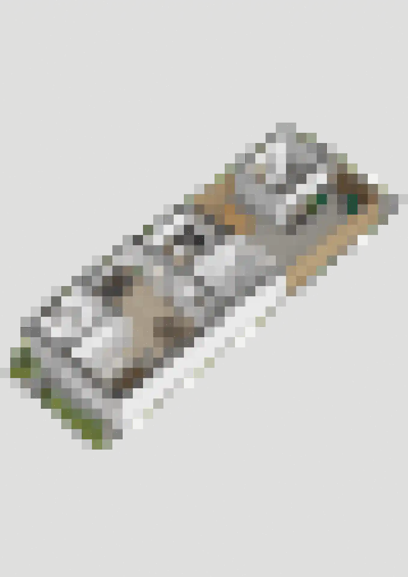 Stadsweg 41 Geertruidenberg thumbnail 54