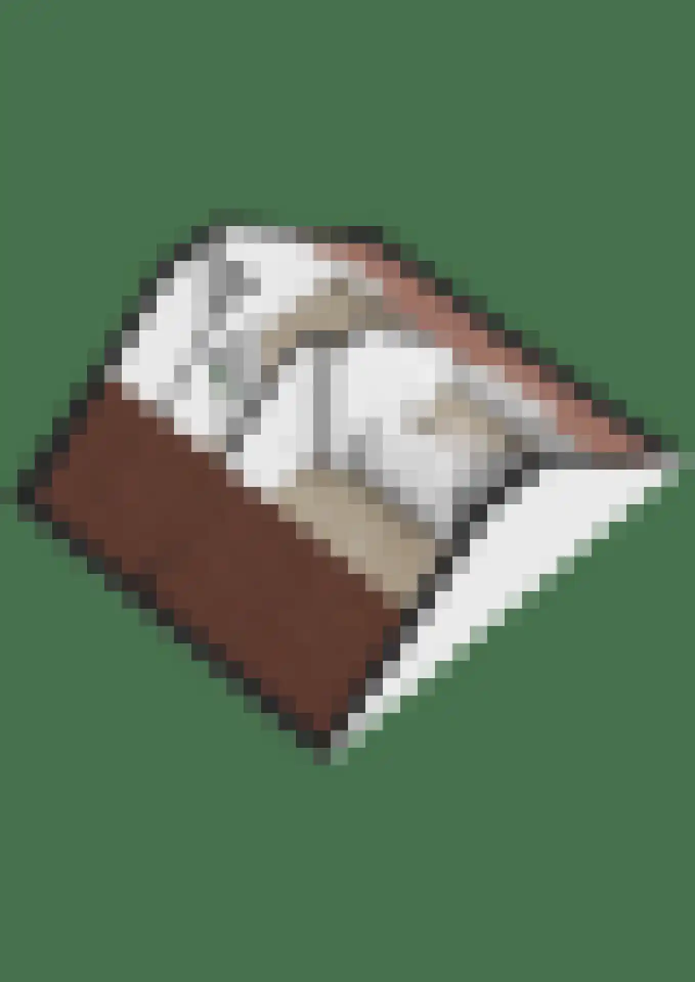 Stadsweg 41 Geertruidenberg thumbnail 56