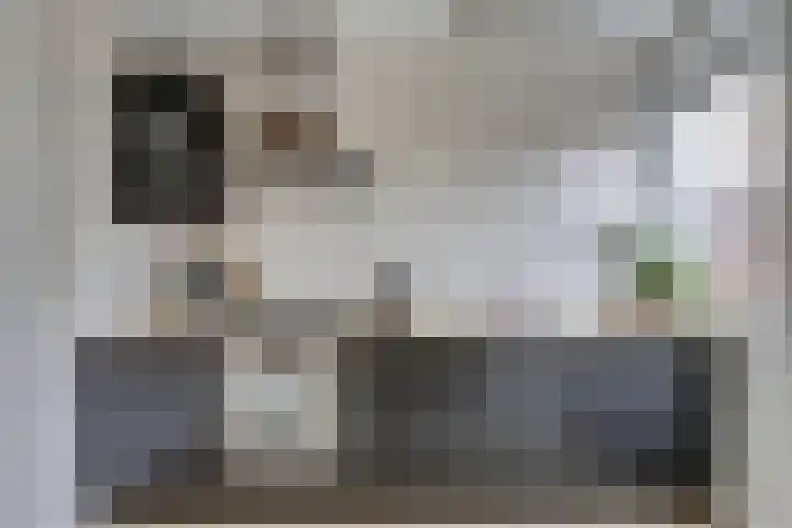 Stadsweg 6 Geertruidenberg thumbnail 10