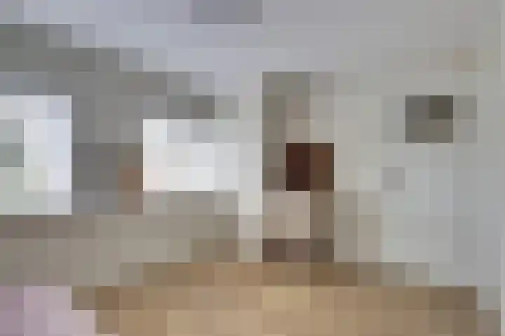 Stadsweg 6 Geertruidenberg thumbnail 13