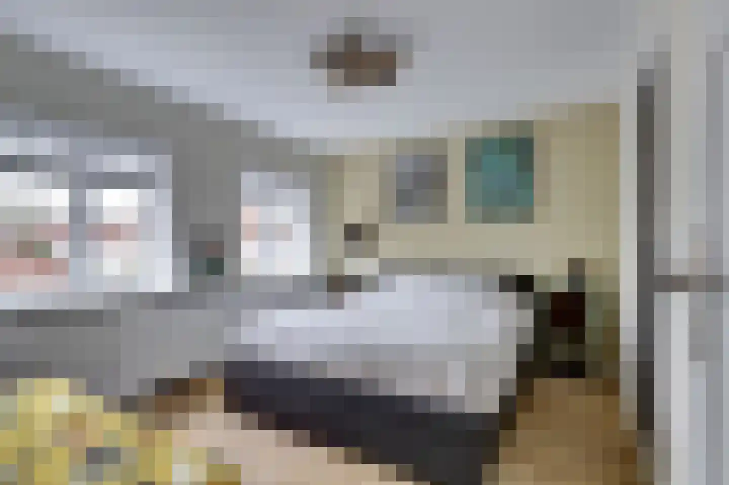 Stadsweg 6 Geertruidenberg thumbnail 15