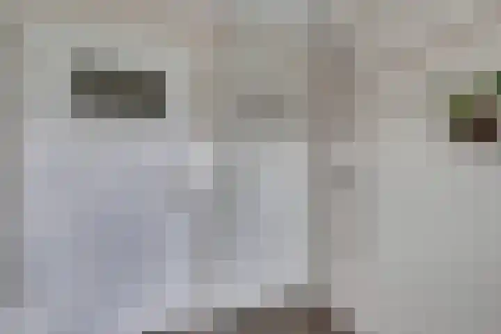 Stadsweg 6 Geertruidenberg thumbnail 18