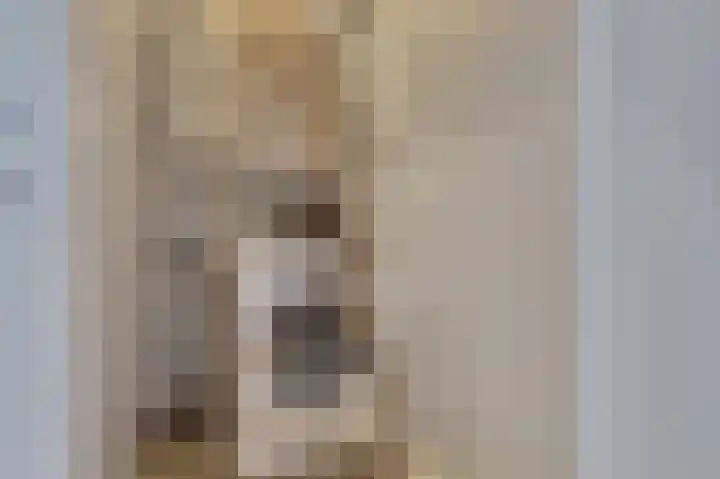 Stadsweg 6 Geertruidenberg thumbnail 20