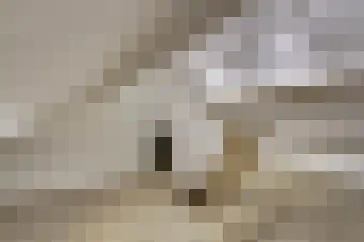 Stadsweg 6 Geertruidenberg thumbnail 21