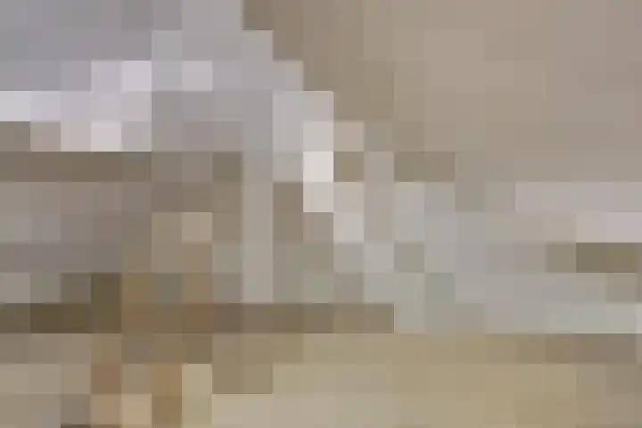 Stadsweg 6 Geertruidenberg thumbnail 22
