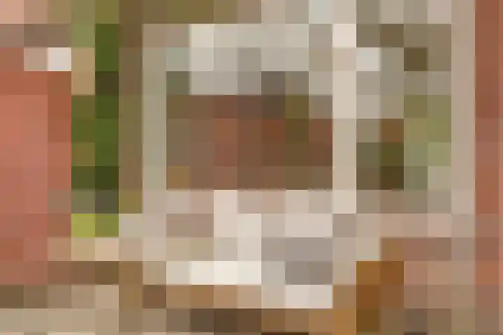 Stadsweg 6 Geertruidenberg thumbnail 23