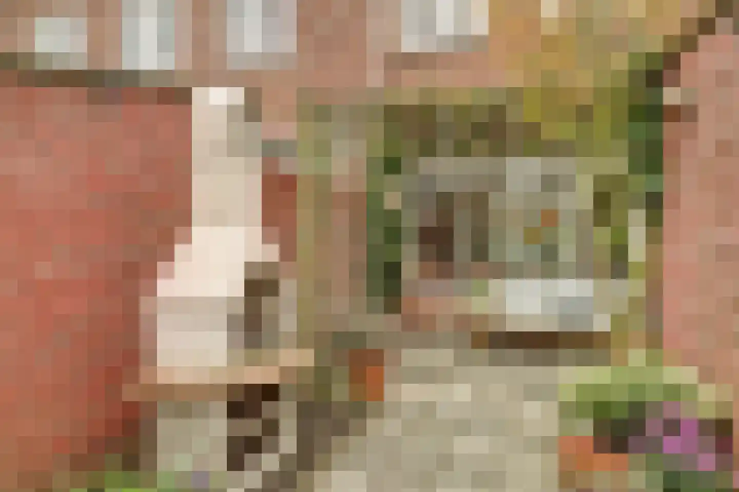 Stadsweg 6 Geertruidenberg thumbnail 24