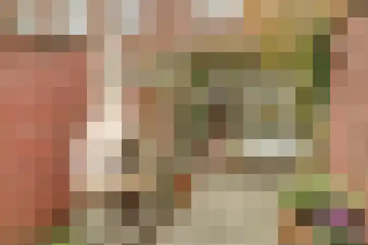 Stadsweg 6 Geertruidenberg thumbnail 24