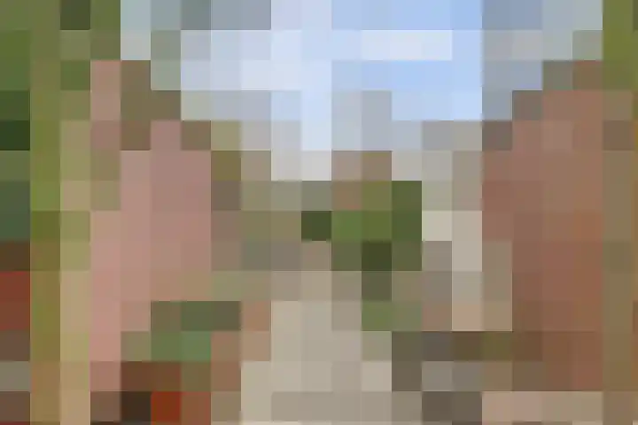 Stadsweg 6 Geertruidenberg thumbnail 25