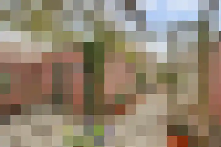 Stadsweg 6 Geertruidenberg thumbnail 26