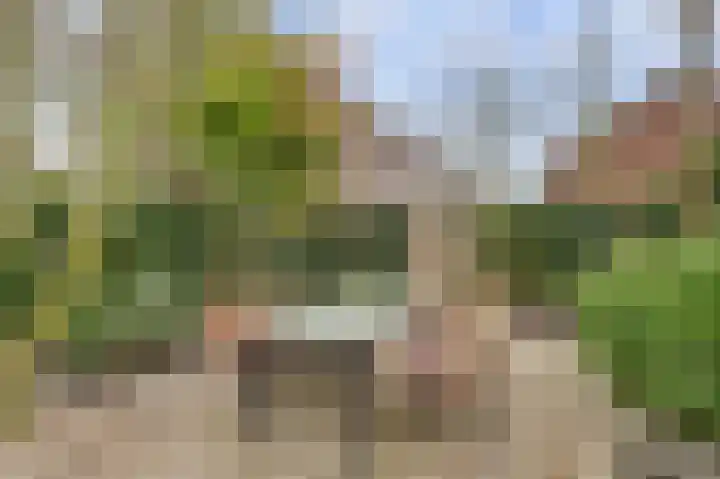 Stadsweg 6 Geertruidenberg thumbnail 27