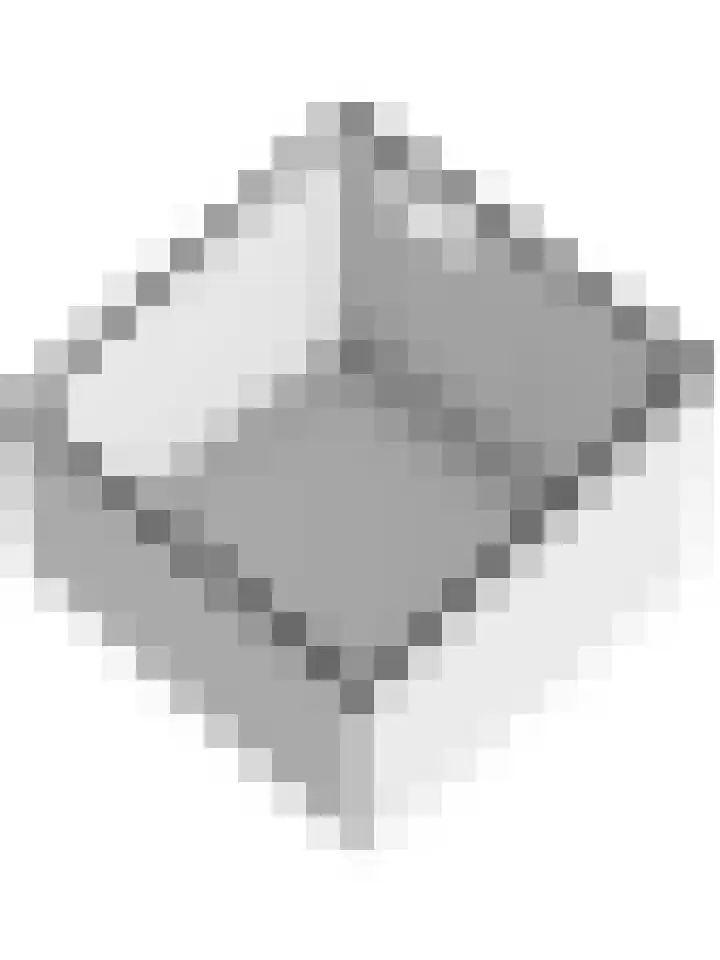 Stadsweg 6 Geertruidenberg thumbnail 32