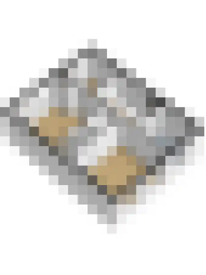 Stadsweg 6 Geertruidenberg thumbnail 35