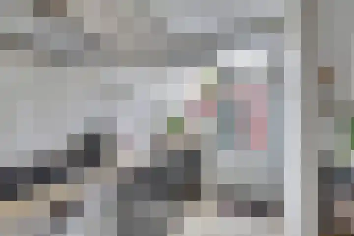 Stadsweg 6 Geertruidenberg thumbnail 9