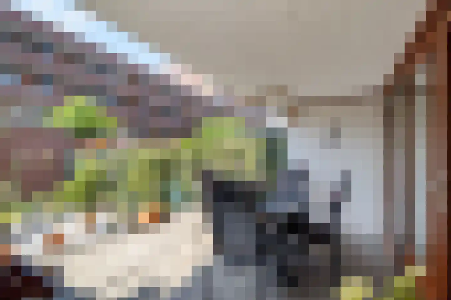 Stadswegske 53 Sittard thumbnail 23