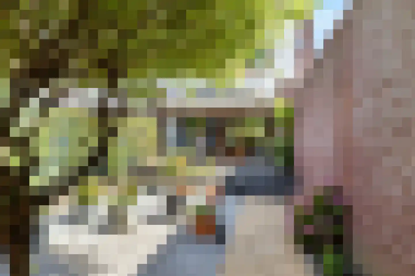 Stadswegske 53 Sittard thumbnail 28
