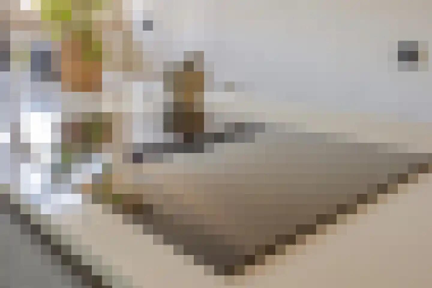 Stadswegske 65 Sittard thumbnail 18