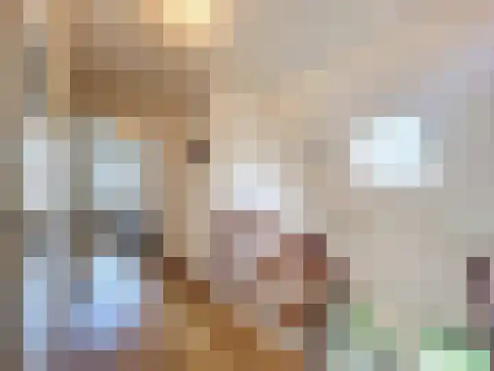 Stadsweide 12 Biervliet thumbnail 15