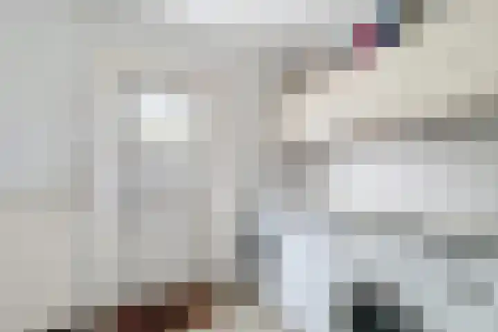 Stadsweide 12 Biervliet thumbnail 17