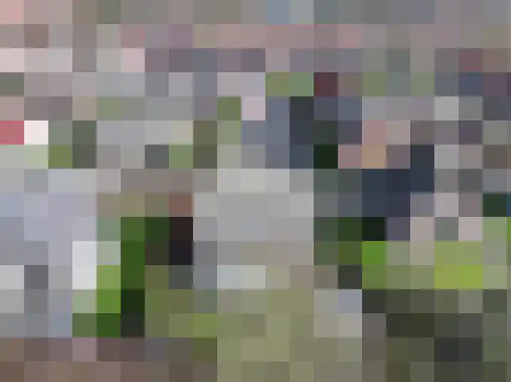 Stadsweide 12 Biervliet thumbnail 25