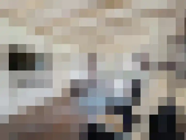 Stadsweide 12 Biervliet thumbnail 7