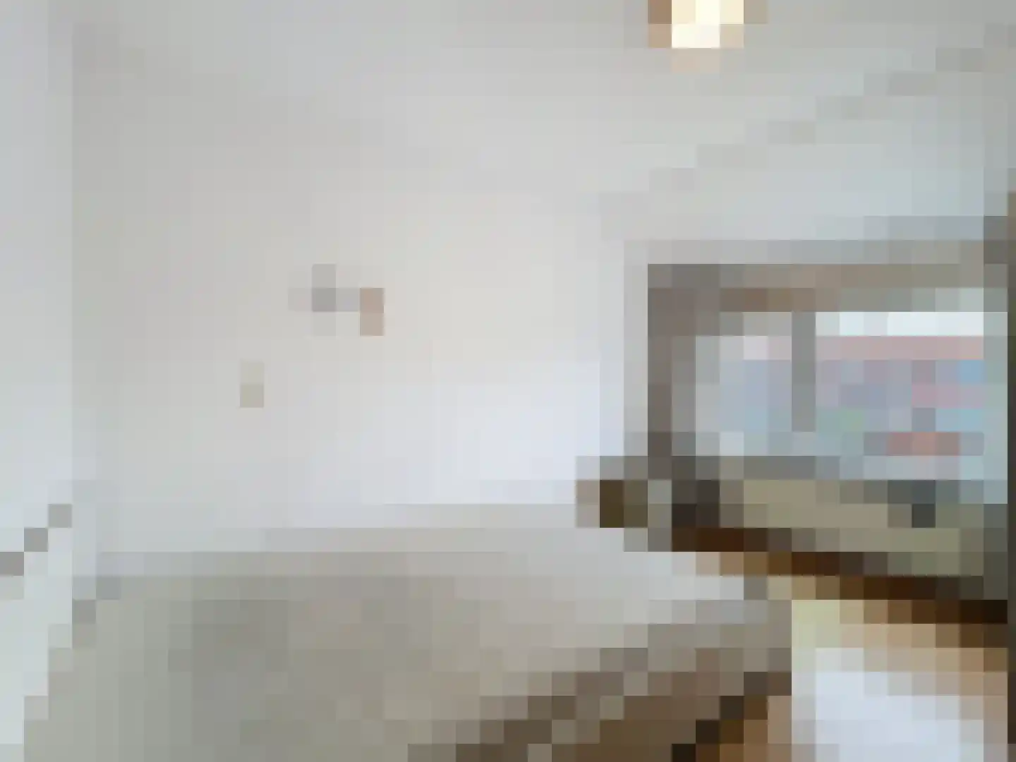 Stadsweide 22 Biervliet thumbnail 14