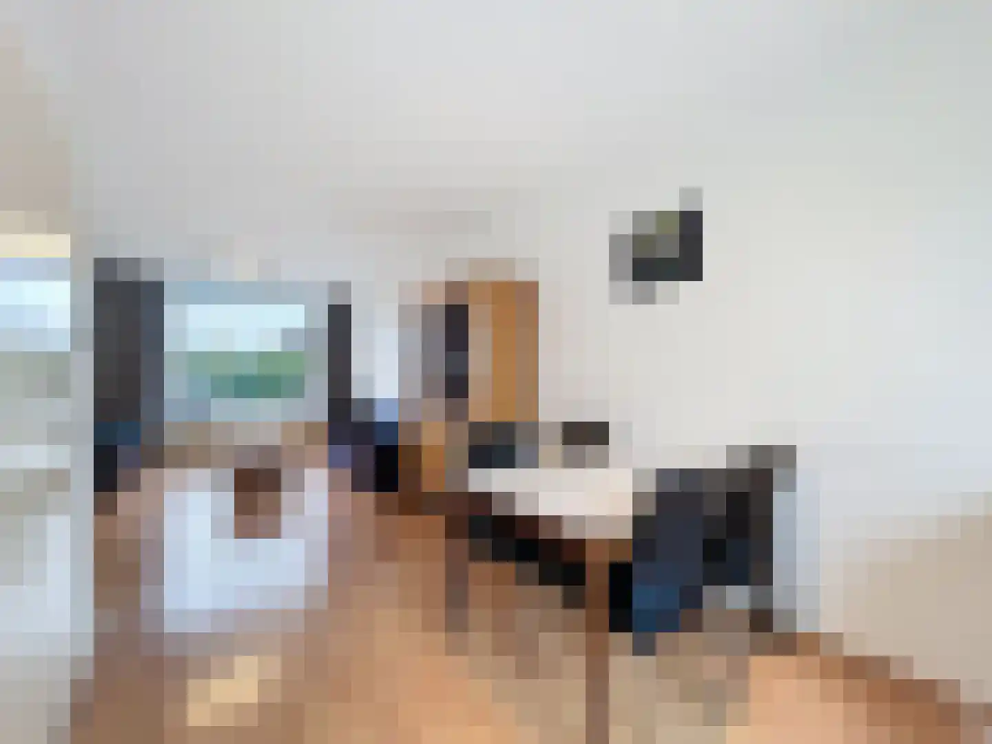 Stadsweide 22 Biervliet thumbnail 5