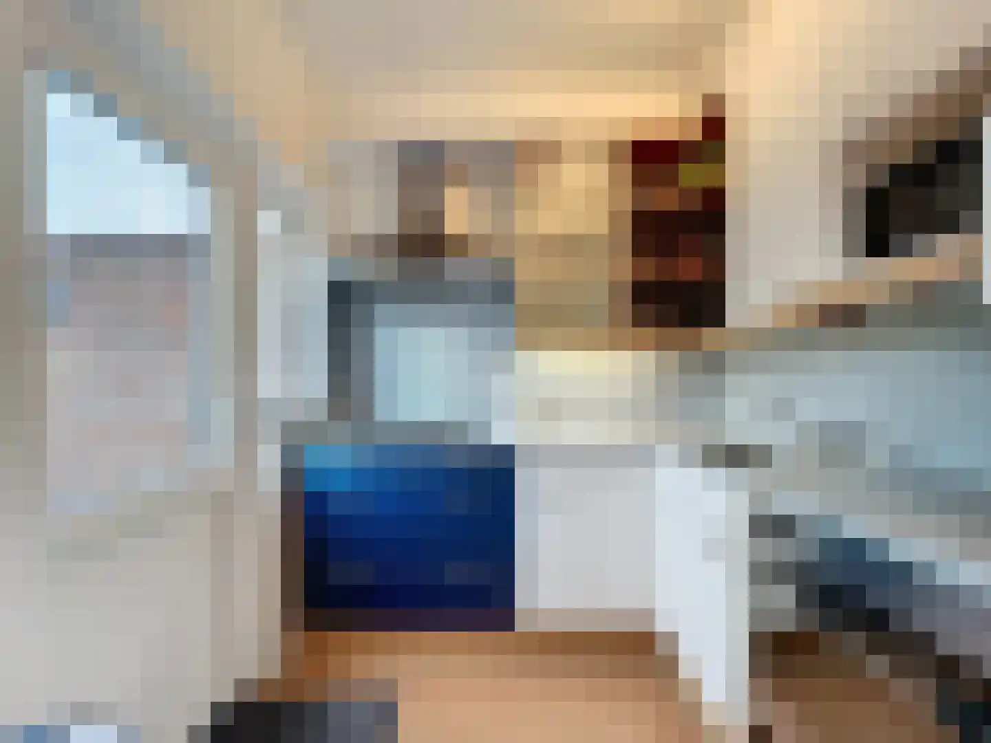 Stadsweide 22 Biervliet thumbnail 8