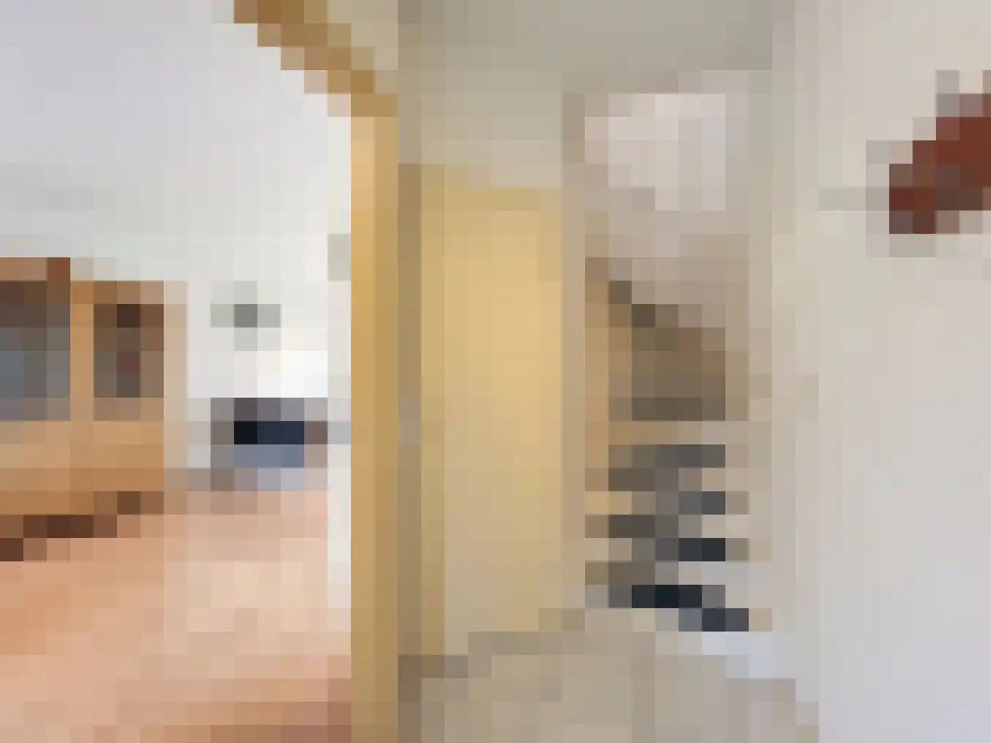 Stadsweide 22 Biervliet thumbnail 9