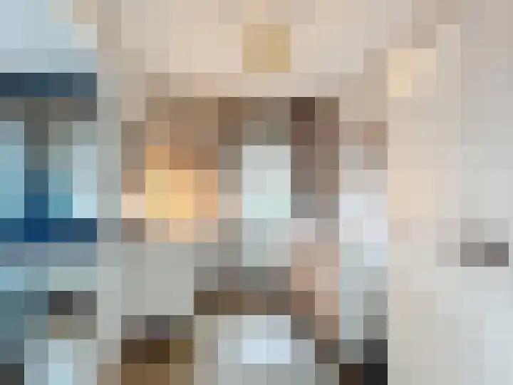 Stadsweide 23 Biervliet thumbnail 15