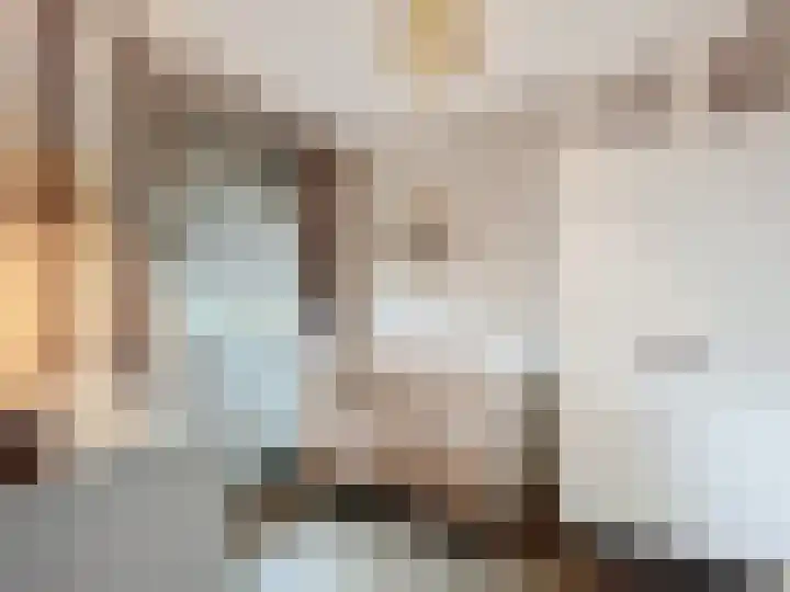 Stadsweide 23 Biervliet thumbnail 16